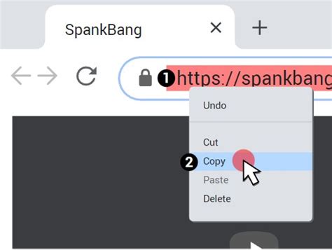 descargar de spankbang|Descarga de vídeos de spankbang.com gratis